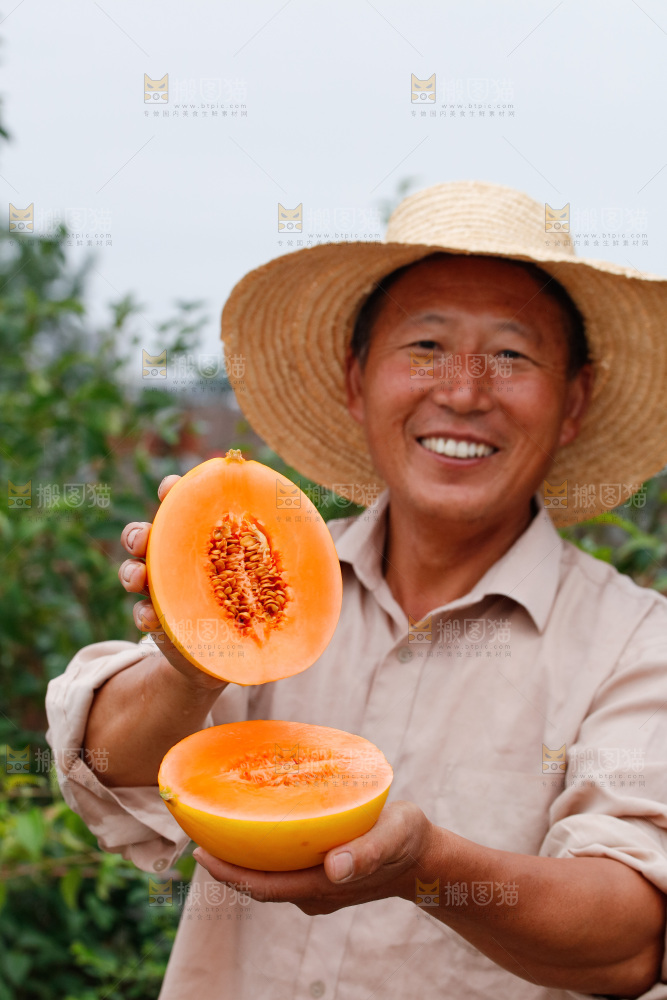 手里拿着的黄河蜜瓜