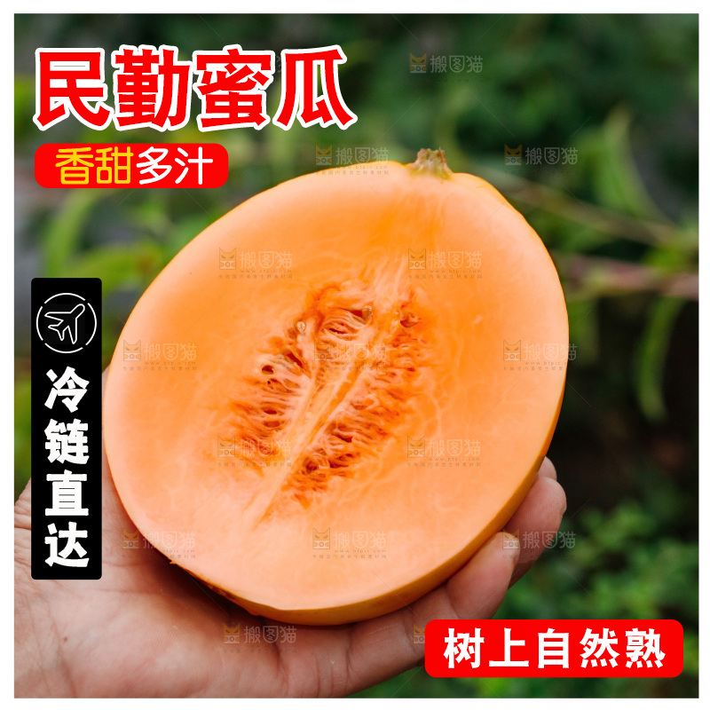 手里拿着的黄河蜜瓜