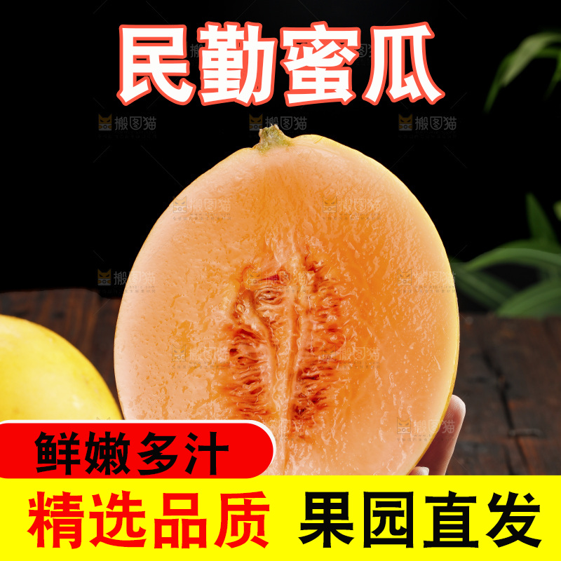 手里拿着的黄河蜜瓜