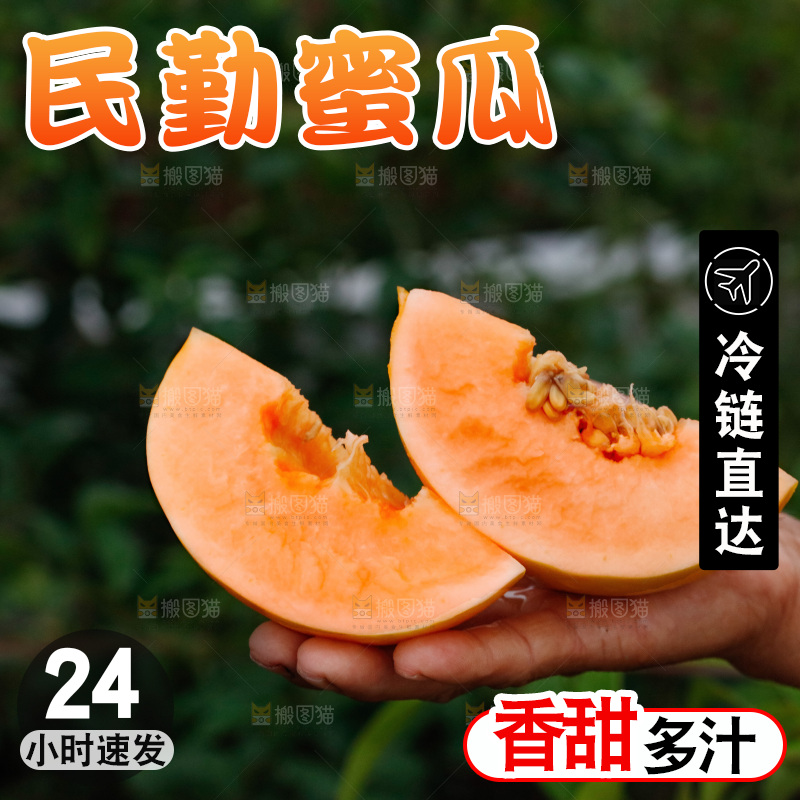 手里拿着的黄河蜜瓜