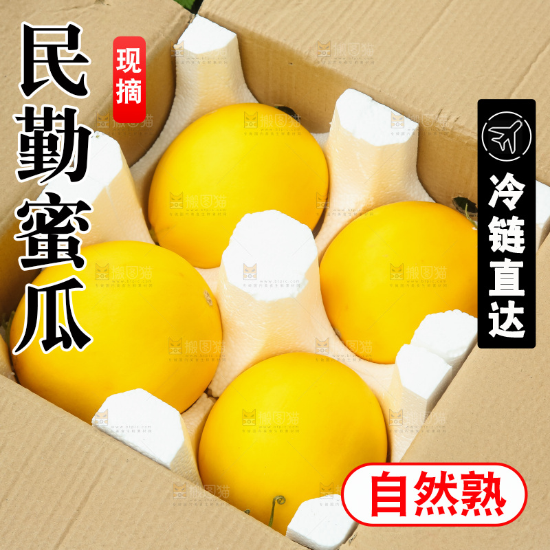 手里拿着的黄河蜜瓜