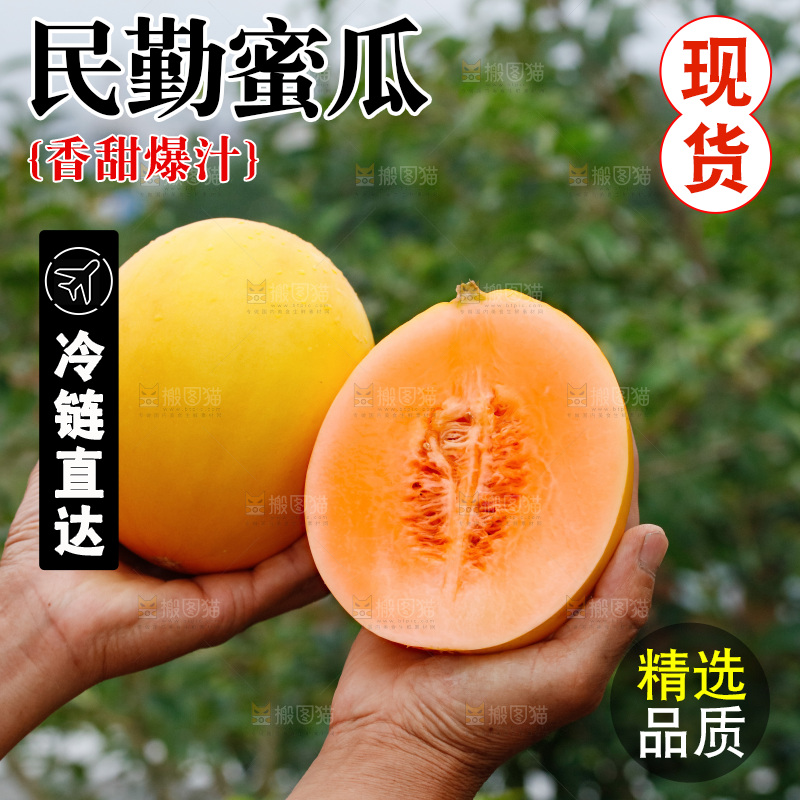 手里拿着的黄河蜜瓜