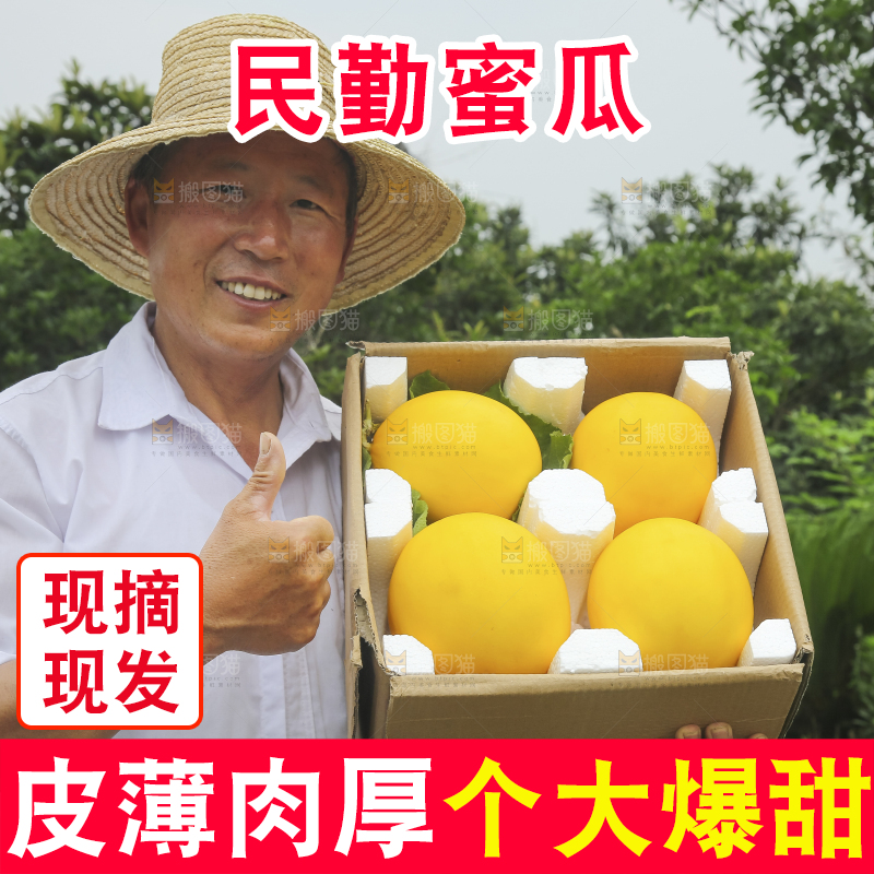 手里拿着的黄河蜜瓜