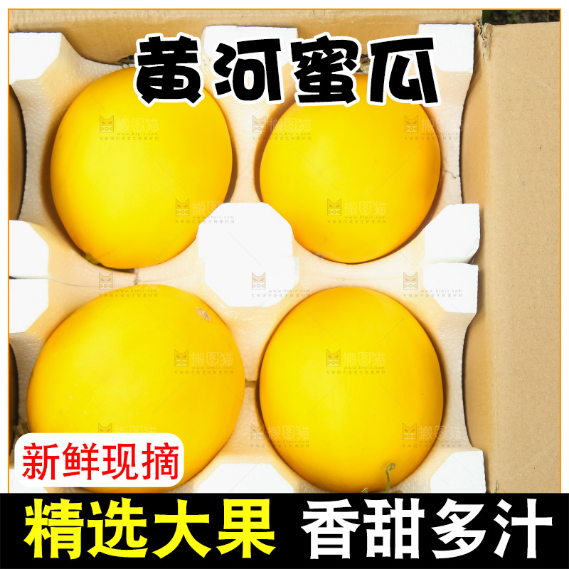 手里拿着的黄河蜜瓜