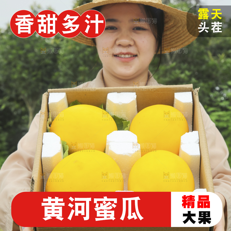 手里拿着的黄河蜜瓜