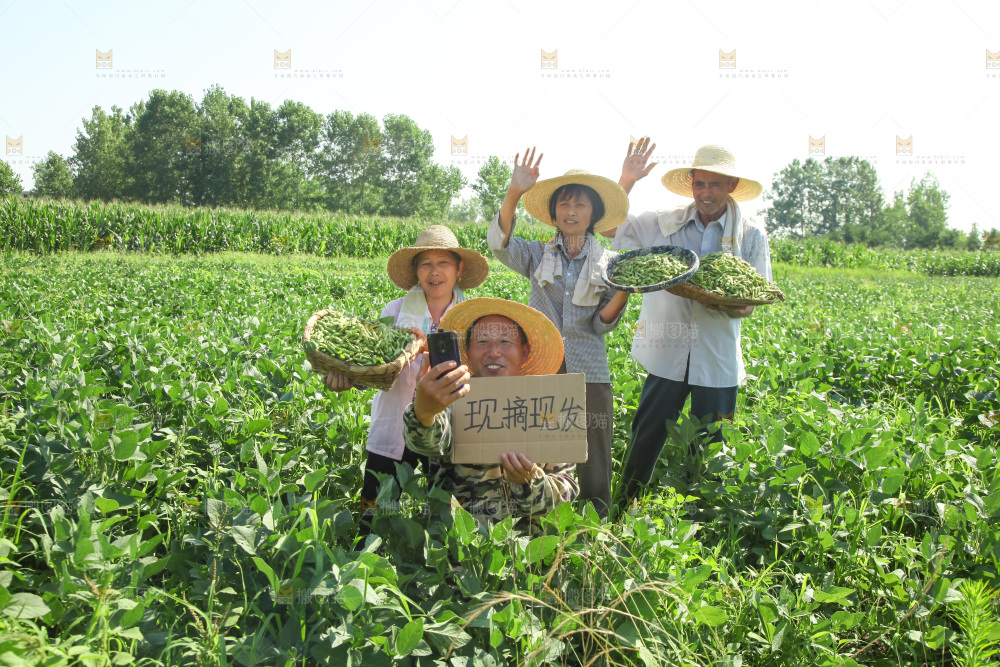 手里拿着现摘毛豆