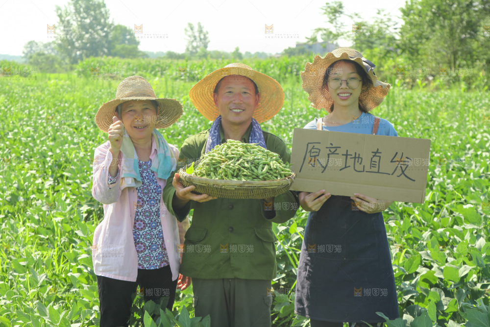 手里拿着现摘毛豆