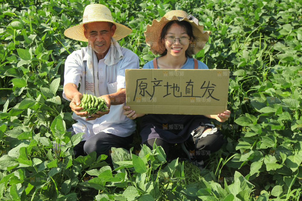 手里拿着现摘毛豆