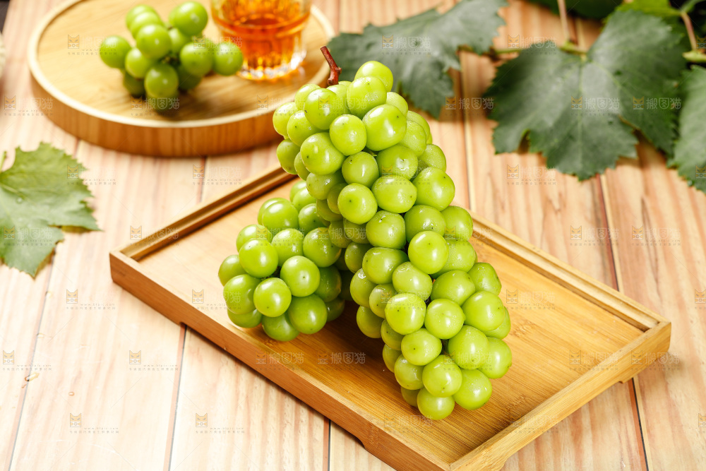 阳光玫瑰