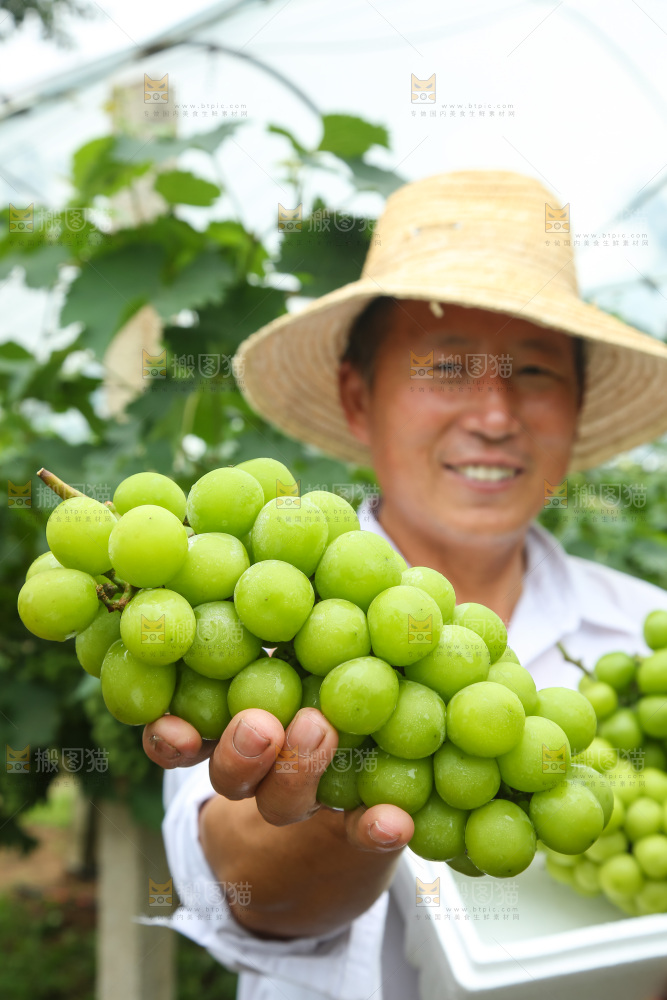 手里拿着阳光玫瑰