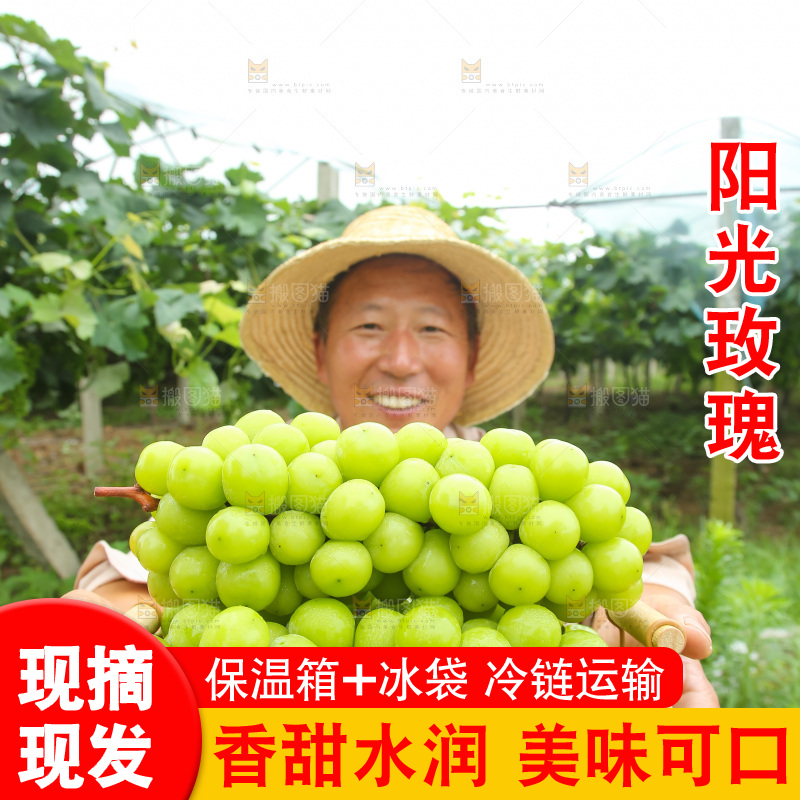 手里拿着阳光玫瑰