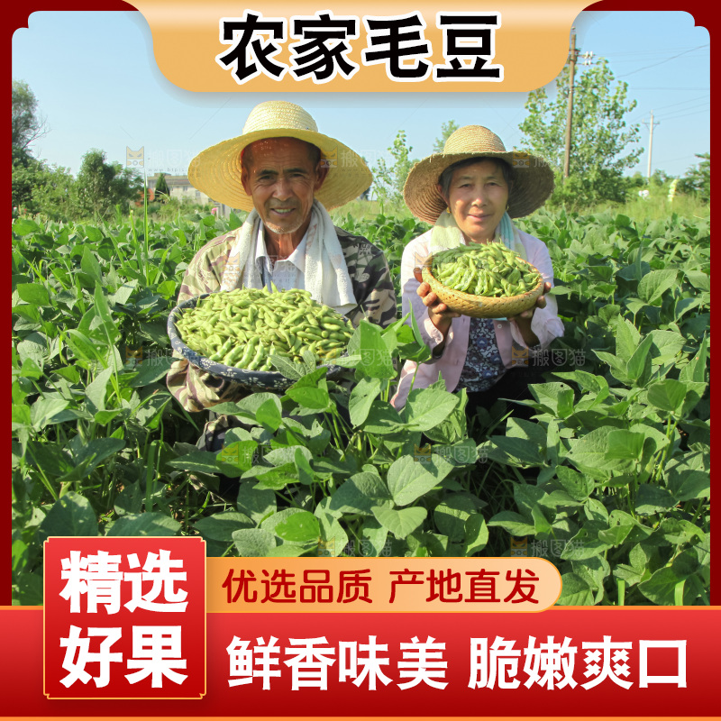 手里拿着现摘毛豆
