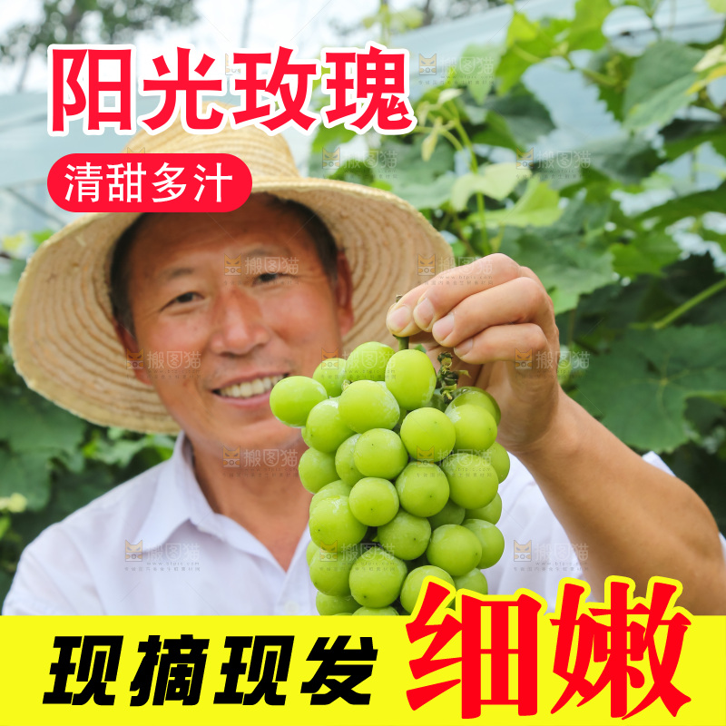 手里拿着阳光玫瑰