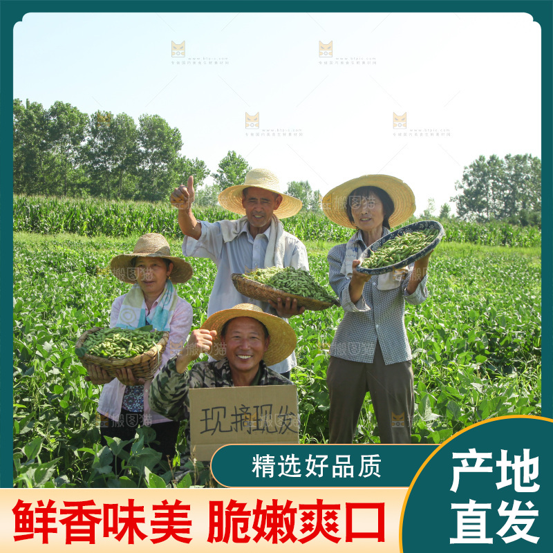手里拿着现摘毛豆