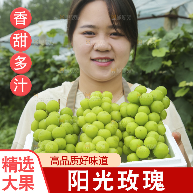手里拿着阳光玫瑰