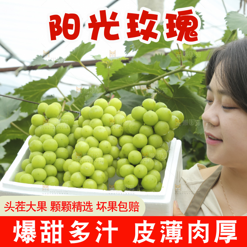 手里拿着阳光玫瑰