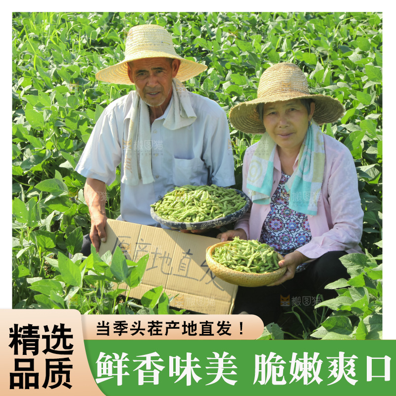 手里拿着现摘毛豆