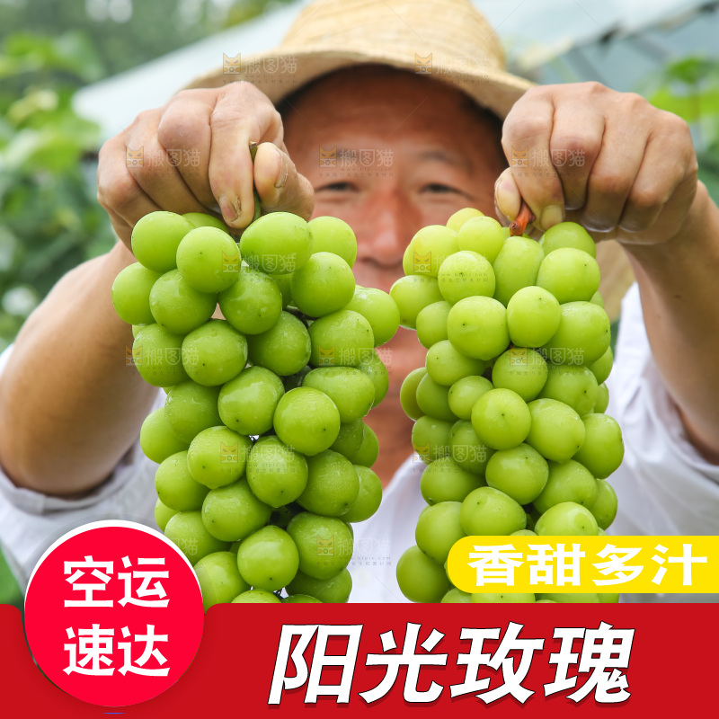 手里拿着阳光玫瑰