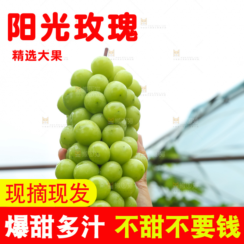 手里拿着阳光玫瑰