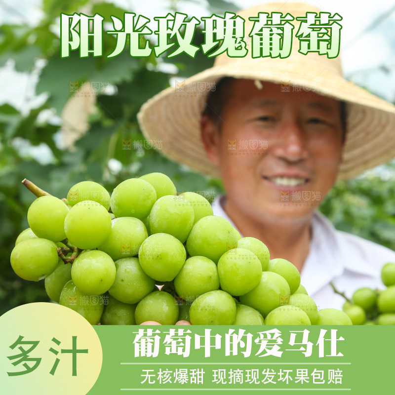 手里拿着阳光玫瑰