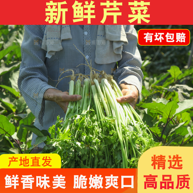 手里拿着新鲜芹菜
