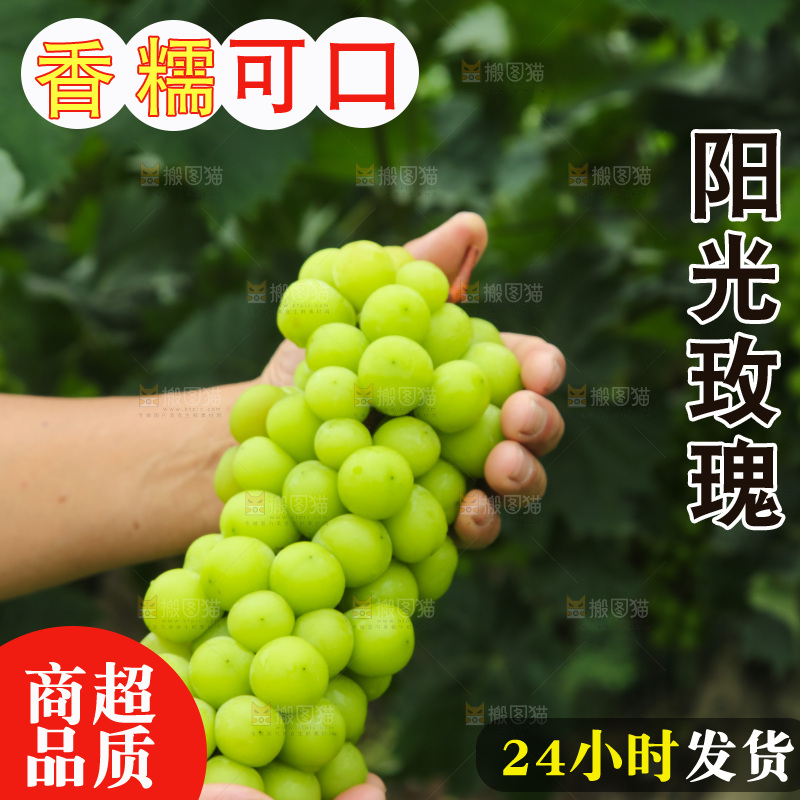 手里拿着阳光玫瑰