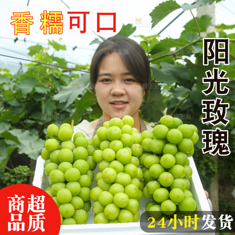 手里拿着阳光玫瑰