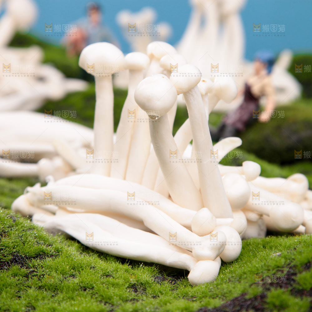 深底上的海鲜菇