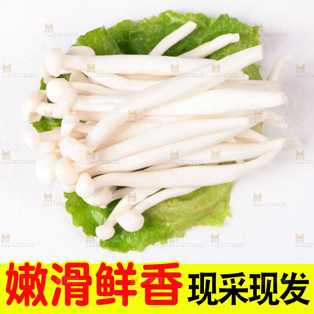 海鲜菇主图