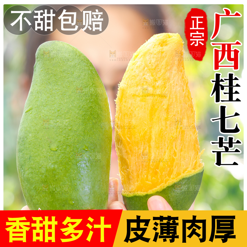 桂七芒主图