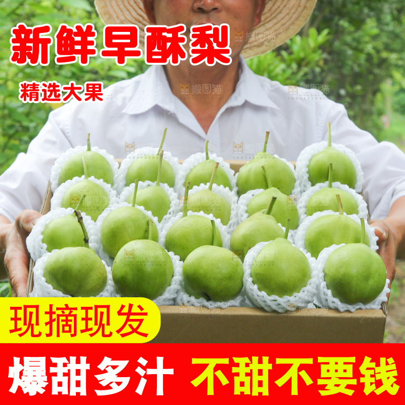 手里拿着早酥梨