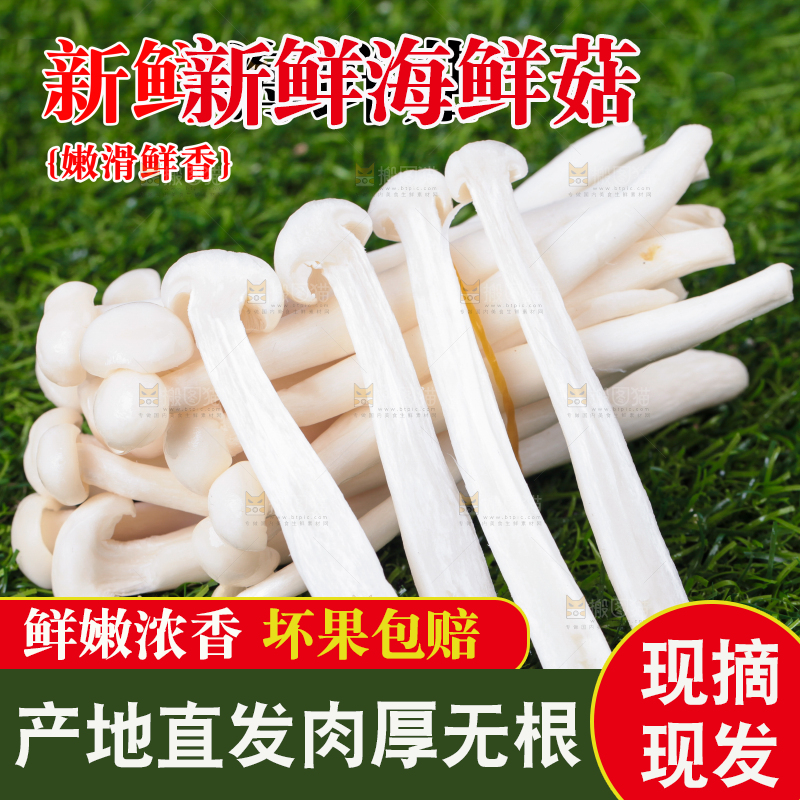 海鲜菇主图
