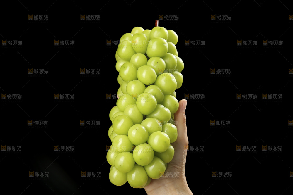 深底上放着阳光玫瑰青提