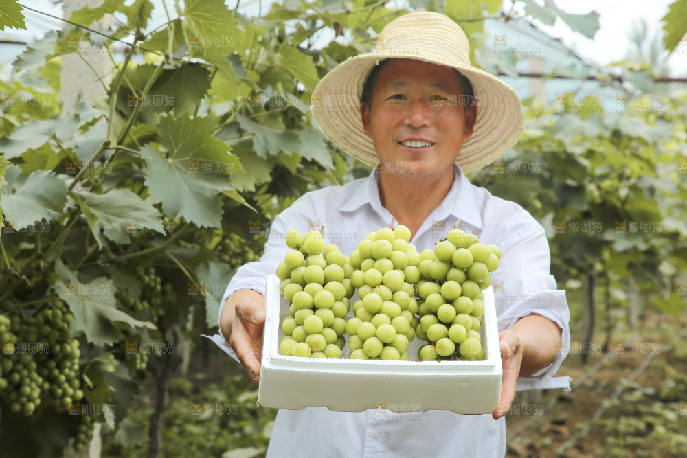 手里拿着水晶葡萄