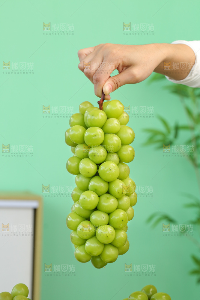深底上放着阳光玫瑰青提