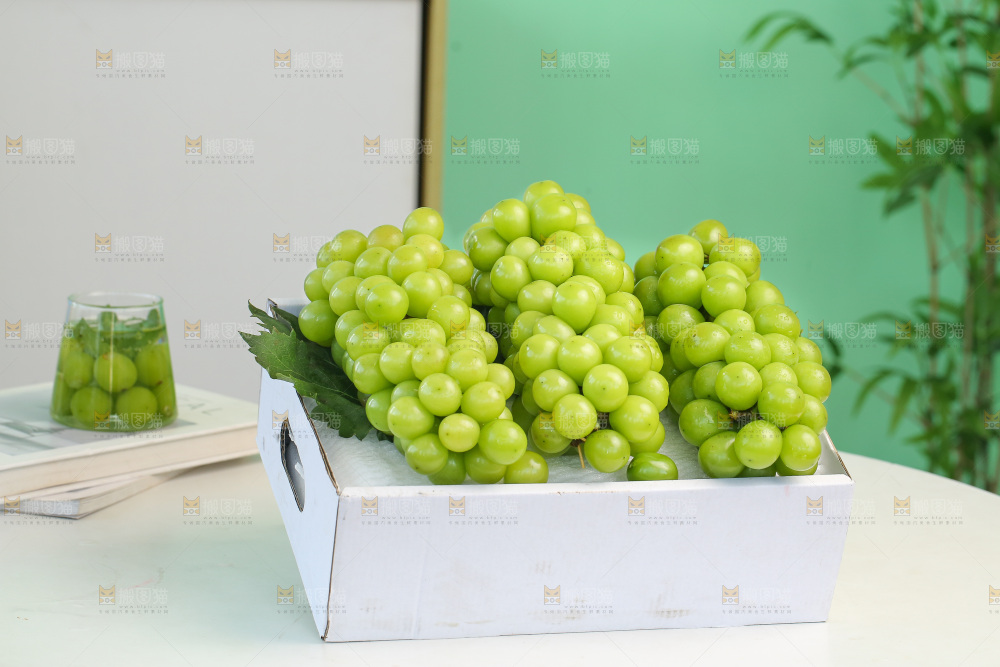 阳光玫瑰