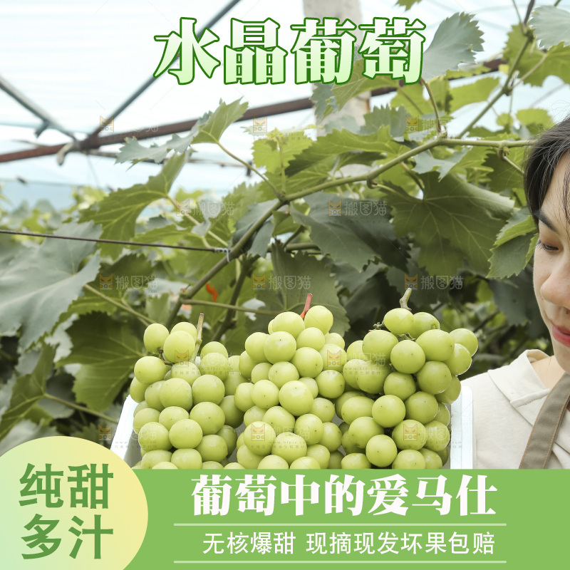 手里拿着水晶葡萄