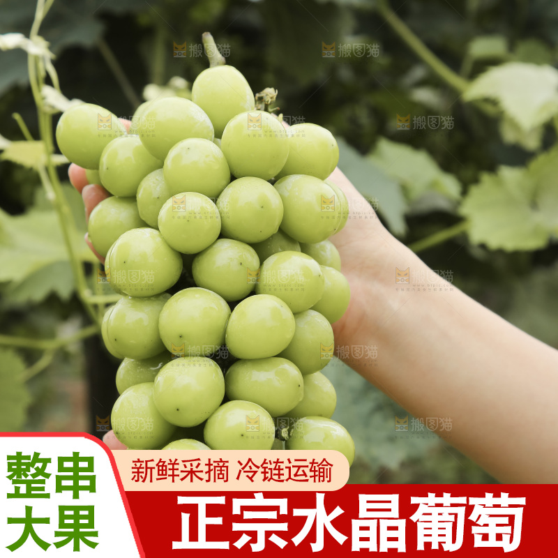 手里拿着水晶葡萄