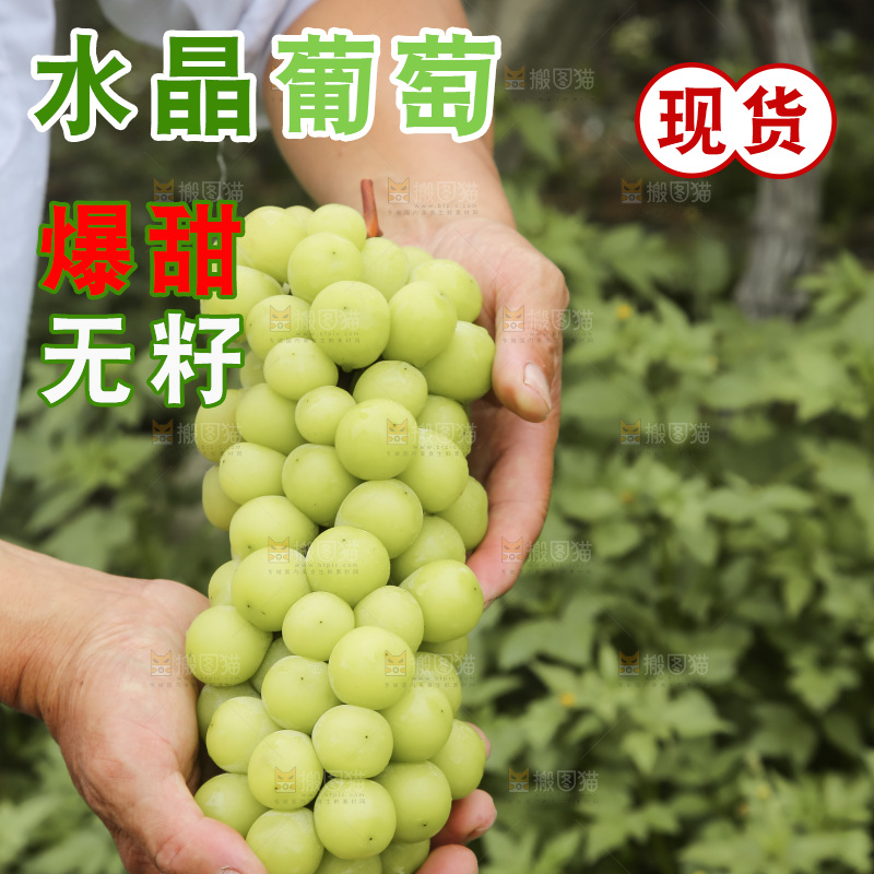 手里拿着水晶葡萄