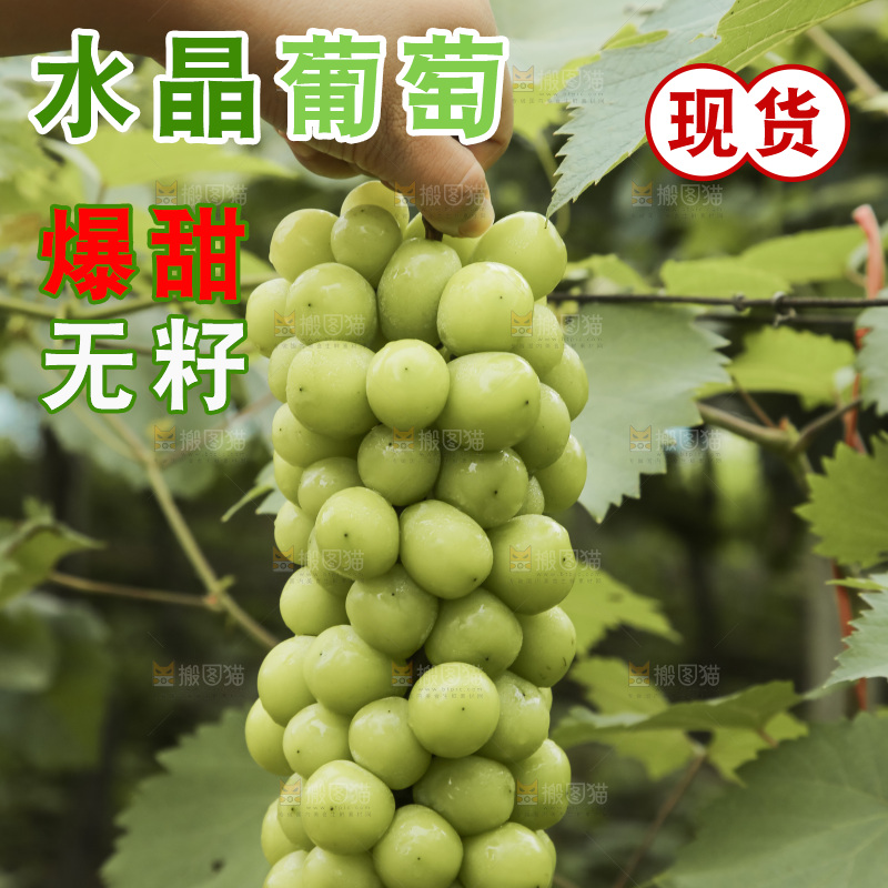 手里拿着水晶葡萄
