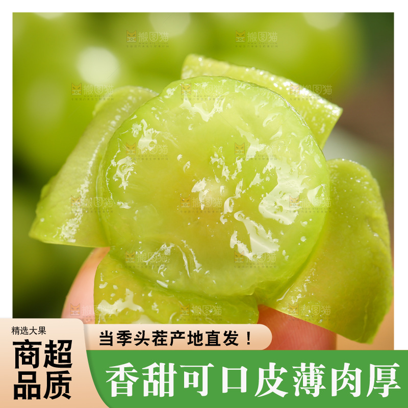 阳光玫瑰青提主图