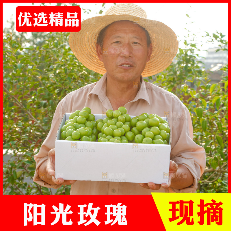 手里拿着一箱阳光玫瑰