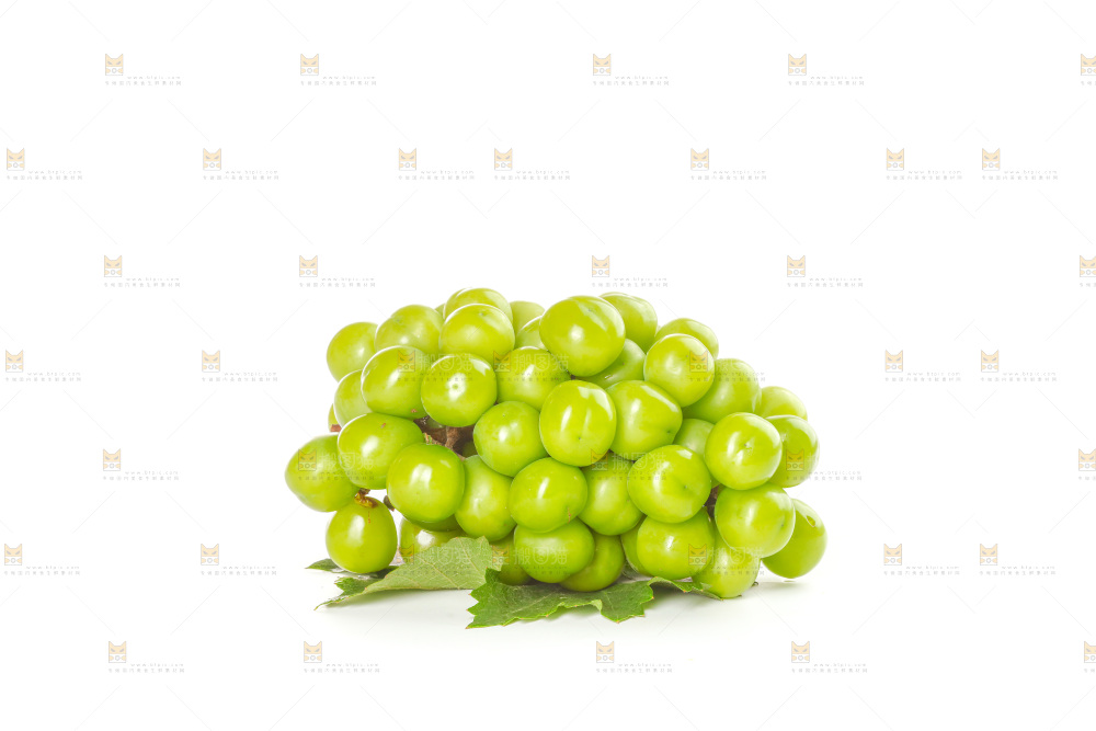 阳光玫瑰