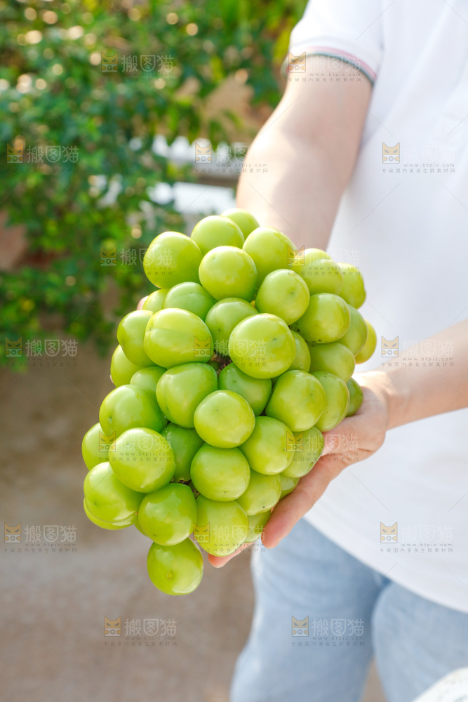 手里拿着一箱阳光玫瑰