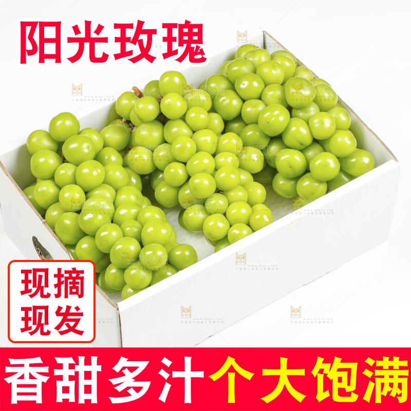 白底上的阳光玫瑰青提