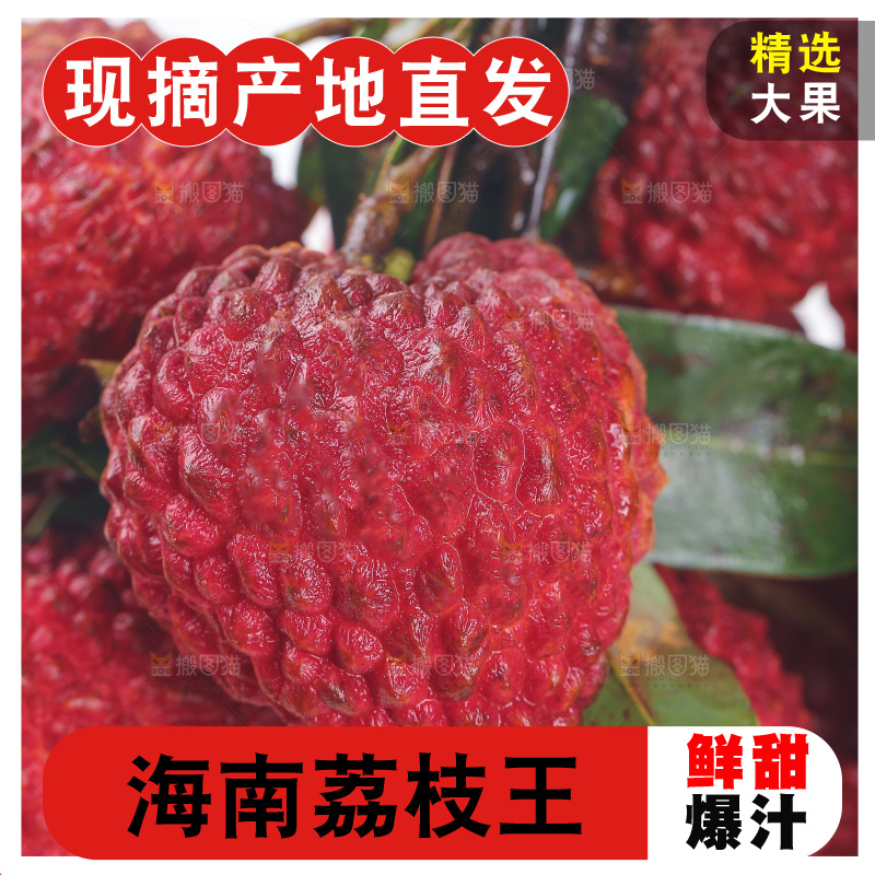 深底上的荔枝王