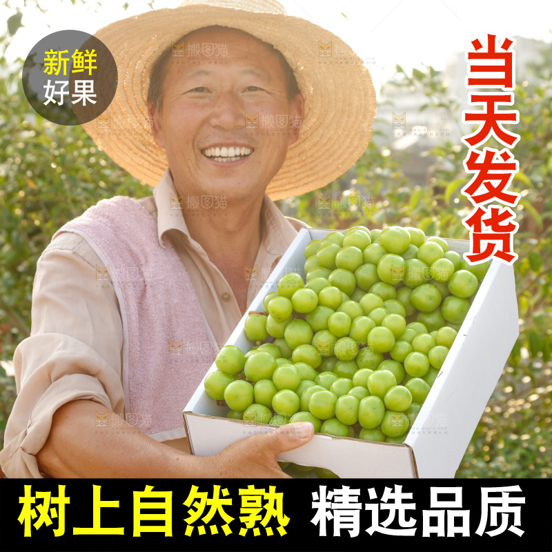 手里拿着一箱阳光玫瑰