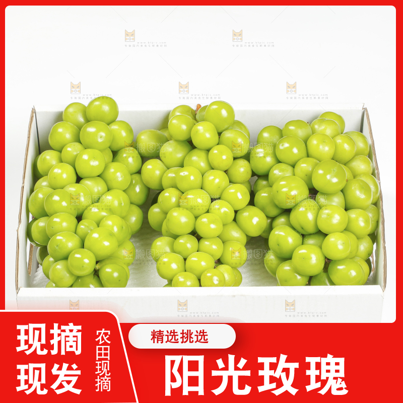 白底上的阳光玫瑰青提