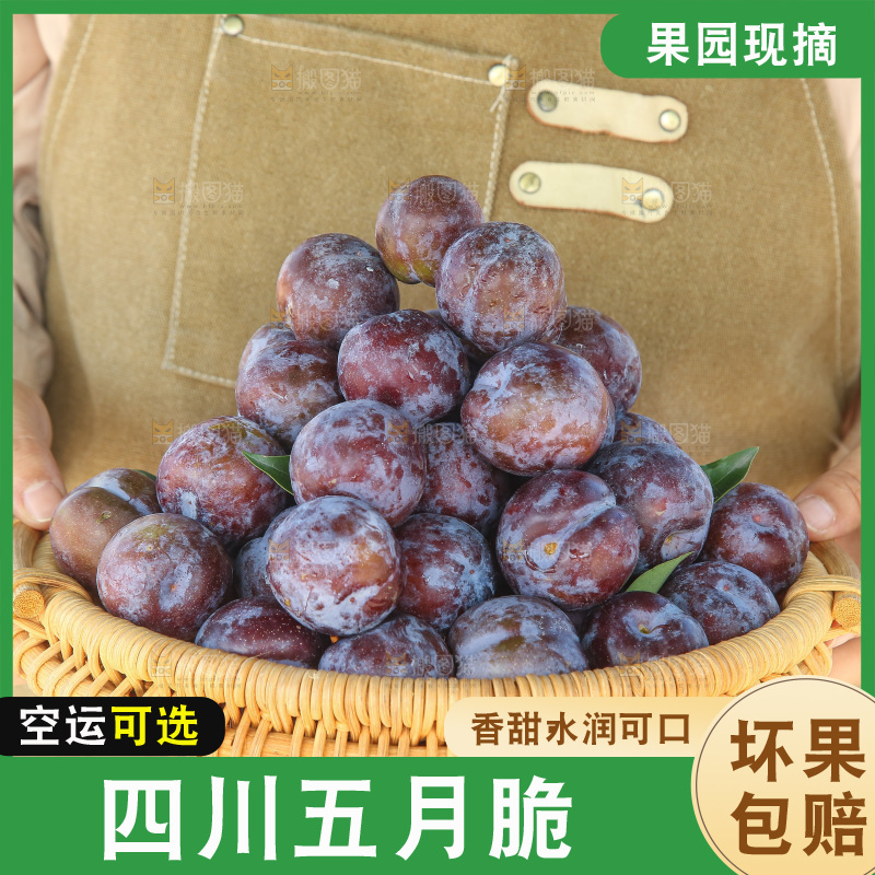 手里拿着五月脆李