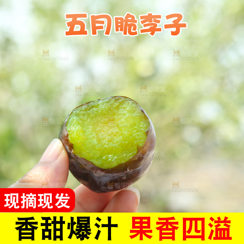 手里拿着五月脆李